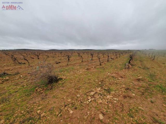 Terreno en venta en Torralba De Calatrava, Castilla-La Mancha