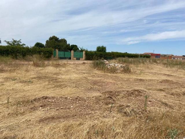 Terreno en venta en Torralba De Calatrava, Castilla-La Mancha