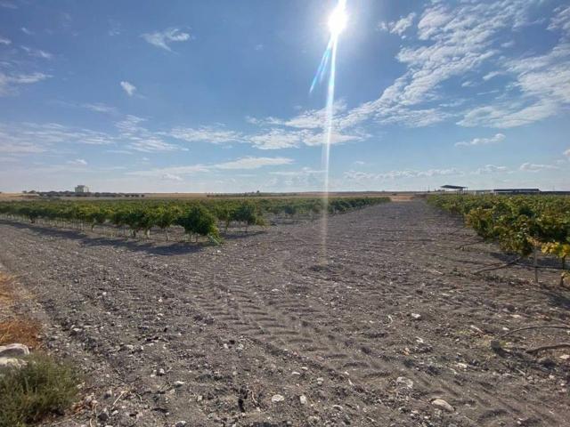 Terreno en venta en Torralba De Calatrava, Castilla-La Mancha