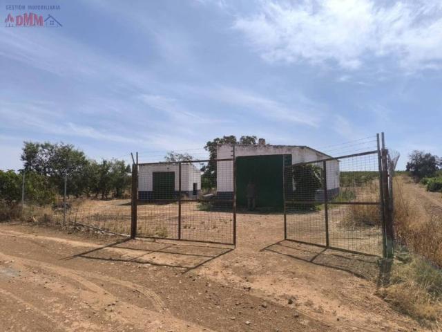 Terreno en venta en Torralba De Calatrava, Castilla-La Mancha
