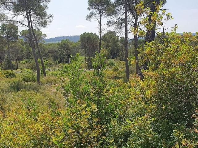 Terreno en venta en Anoia, Catalunya