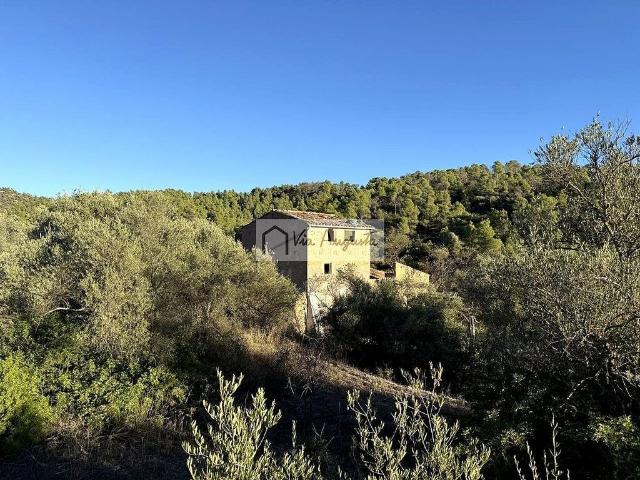 Terreno en venta en Ribera d'Ebre, Catalunya