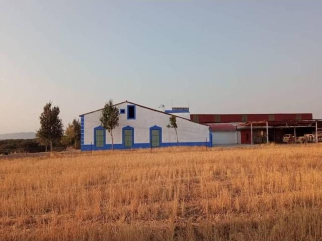 Terreno en venta en Torre De Miguel Sesmero Terreno en venta en Torre De Miguel Sesmero