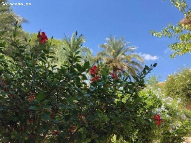 Local Comercial en venta en Torre-Pacheco, Campo de Cartagena y Mar Menor