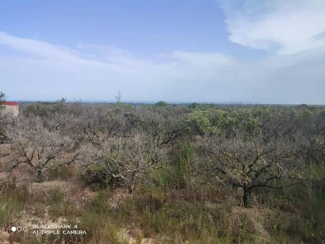 Terreno en venta en la Plana Alta, Valencia