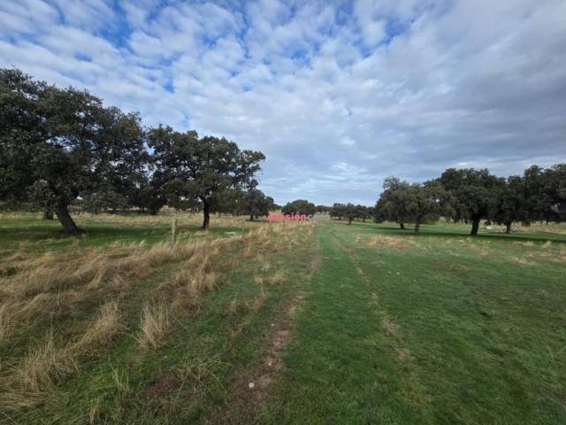 Terreno en venta en Torrecampo, Andalucía