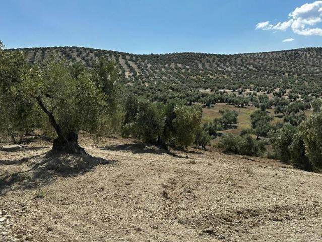 Terreno en venta en Torre Del Campo, Andalucía
