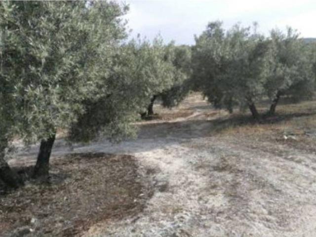 Terreno en venta en Fuerte Del Rey, Andalucía