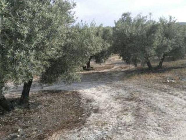 Terreno en venta en Fuerte Del Rey, Andalucía