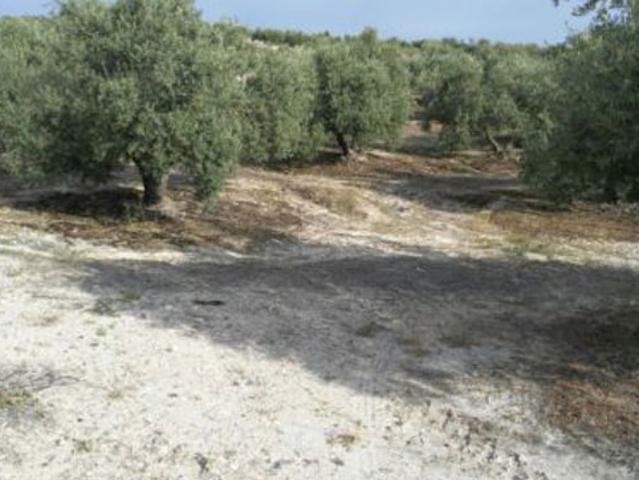 Terreno en venta en Torre Del Campo, Andalucía