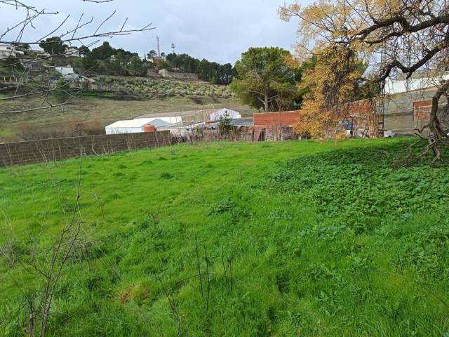 Terreno en venta en Torredonjimeno, Andalucía