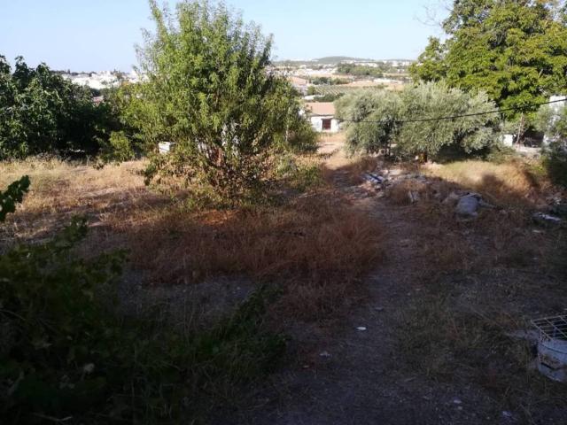 Terreno en venta en Torredonjimeno, Andalucía