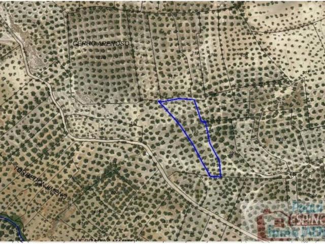 Terreno en venta en Torredonjimeno, Andalucía
