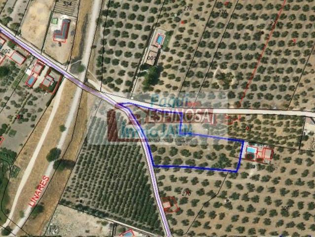 Terreno en venta en Torredonjimeno, Andalucía