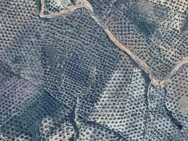 Terreno en venta en Torredonjimeno, Andalucía