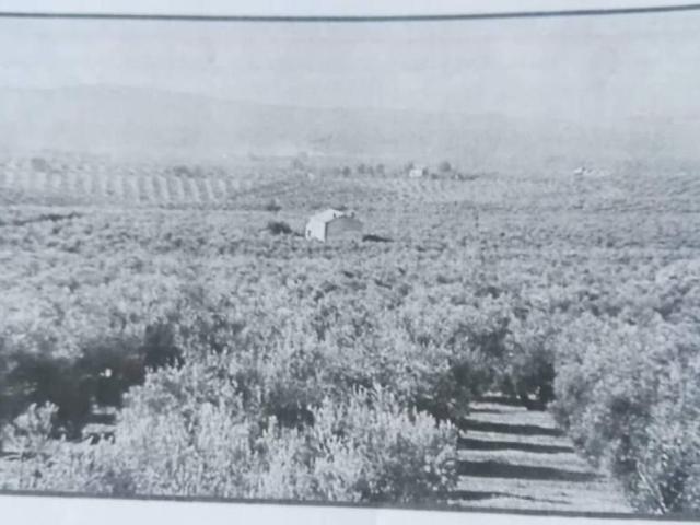 Terreno en venta en Torredonjimeno, Andalucía