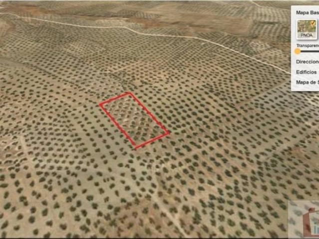 Terreno en venta en Torredonjimeno, Andalucía