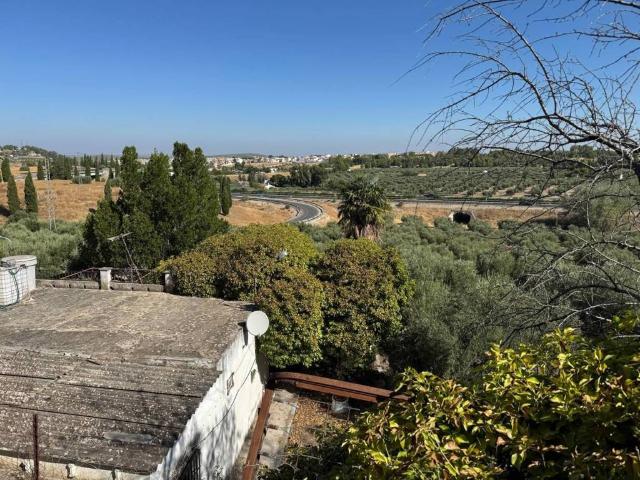 Terreno en venta en Torredonjimeno, Andalucía