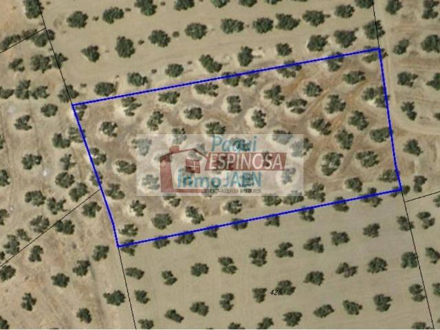 Terreno en venta en Torredonjimeno, Andalucía