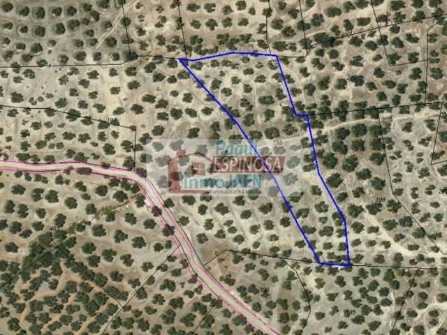 Terreno en venta en Torredonjimeno, Andalucía