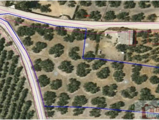 Terreno en venta en Torredonjimeno, Andalucía