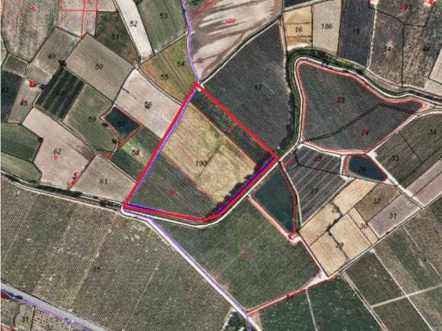 Terreno en venta en Pla d'Urgell, Catalunya