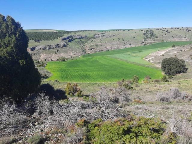 Terreno en venta en Torreiglesias, Castilla y León