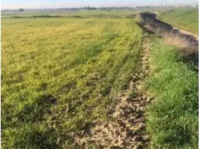 Terreno en venta en Torrejón De Velasco, Madrid