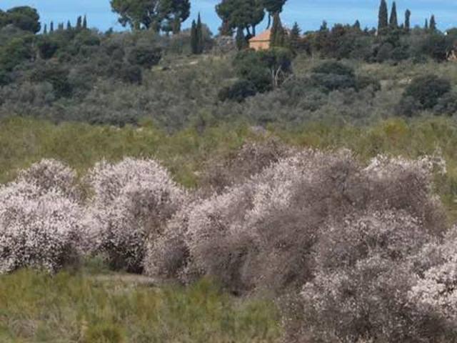 Terreno en venta en Torrejón De Velasco, Madrid