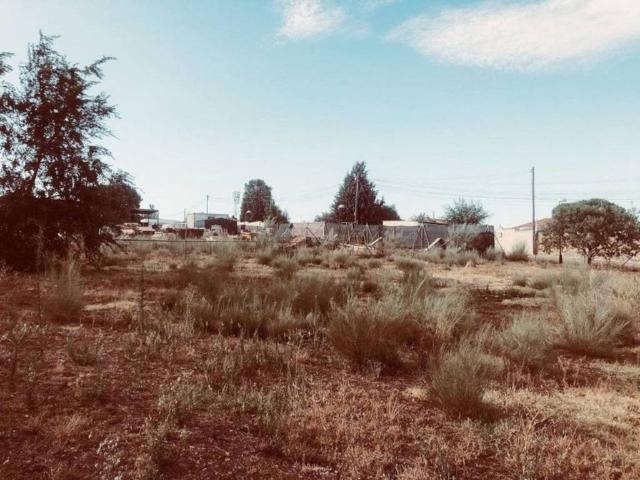 Terreno en venta en Torrejón del Rey, Guadalajara