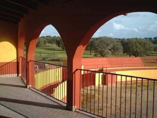 Terreno en venta en Torrejón El Rubio, Extremadura