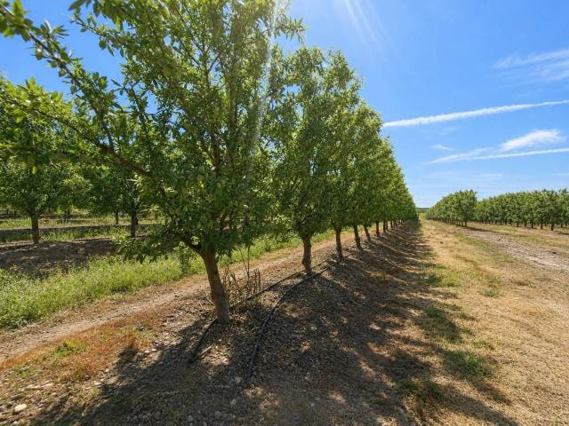 Terreno en venta en Torrejoncillo, Extremadura