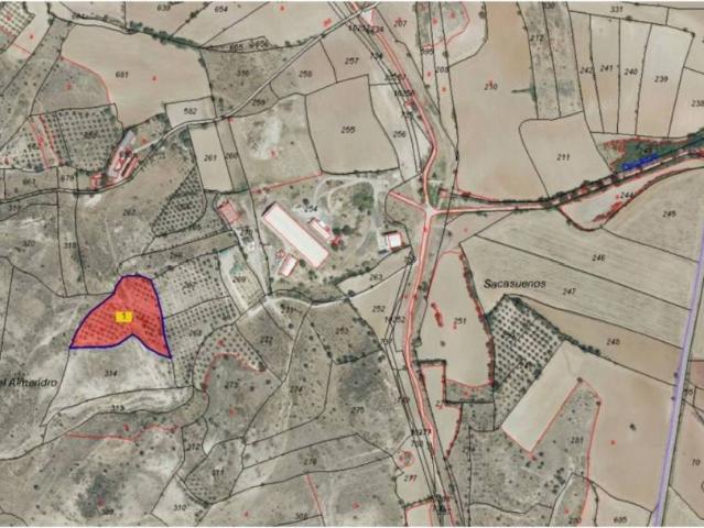 Terreno en venta en Torrelaguna Terreno en venta en Torrelaguna