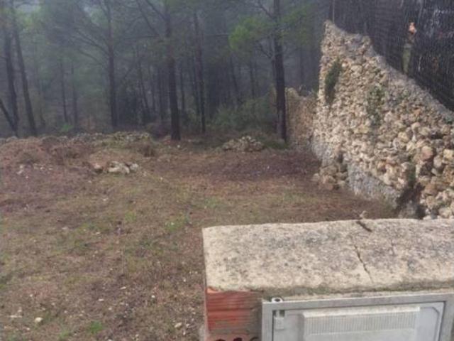Terreno en venta en Alt Penedès, Catalunya