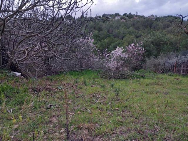 Terreno en venta en Alt Penedès, Catalunya