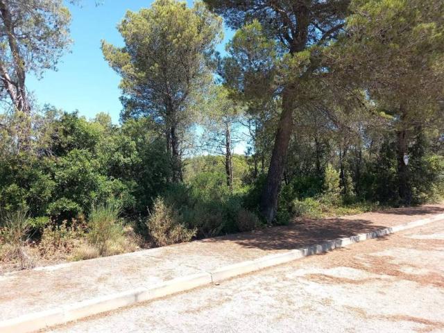 Terreno en venta en Alt Penedès, Catalunya