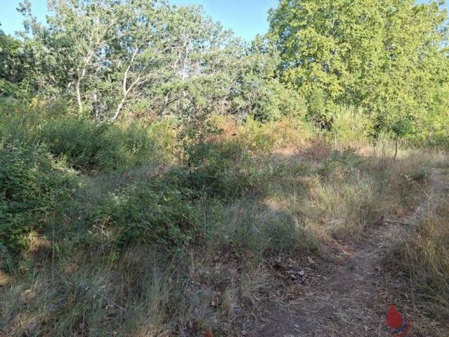 Terreno en venta en Alt Penedès, Catalunya