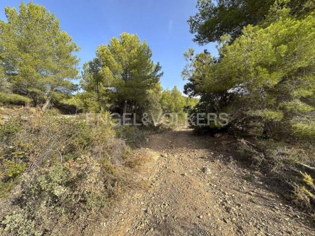 Terreno en venta en Alt Penedès, Catalunya