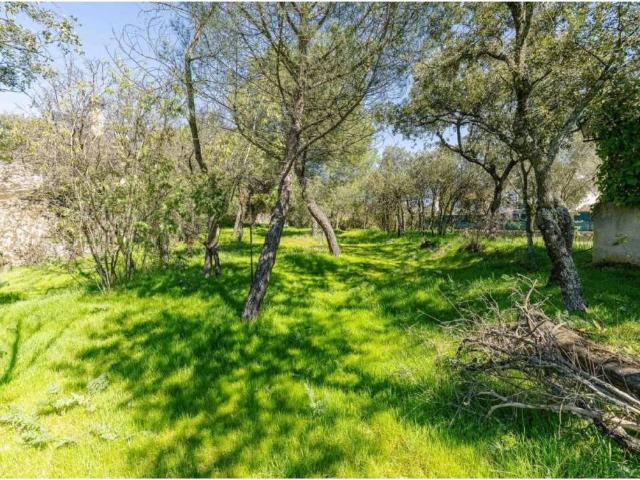 Terreno en venta en Torrelodones, Madrid