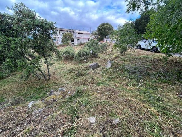Terreno en venta en Torrelodones Colonia, Torrelodones
