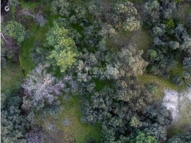 Terreno en venta en Torrelodones, Madrid
