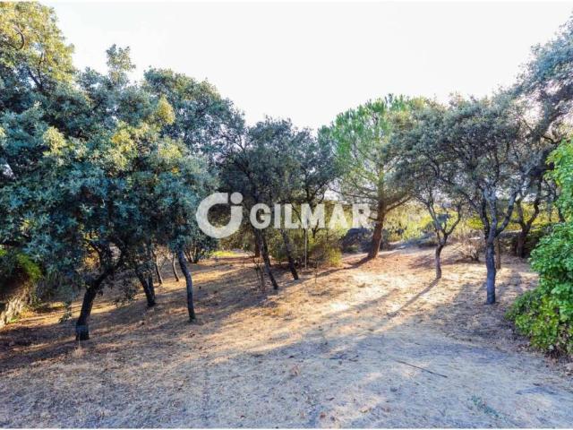 Terreno en venta en Torrelodones, Madrid