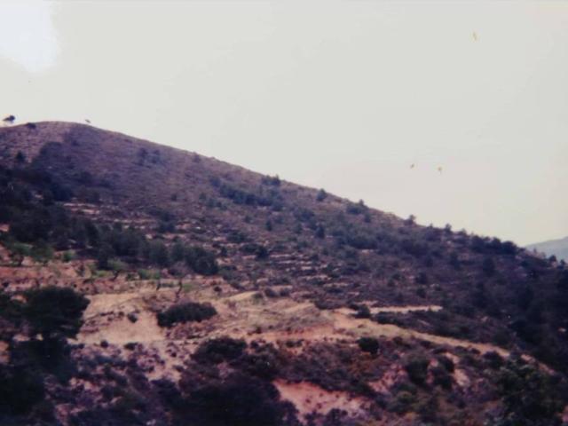 Terreno en venta en l'Alacantí, Valencia