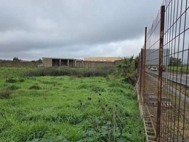 Terreno en venta en Torremayor, Extremadura