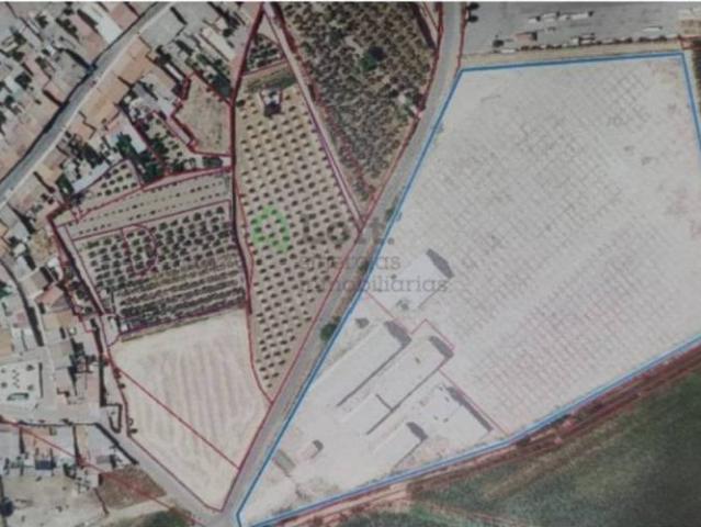 Terreno en venta en Torremayor, Extremadura