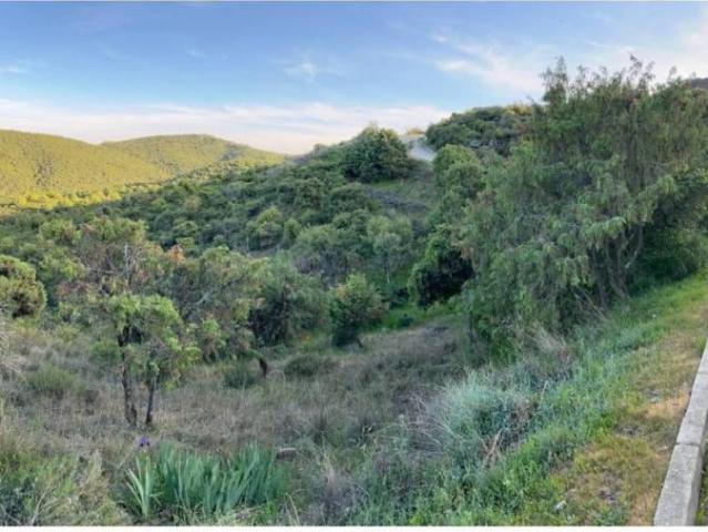 Terreno en venta en Torremocha De Jarama, Madrid