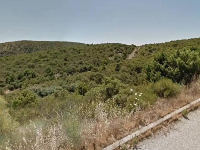 Terreno en venta en Torremocha De Jarama, Madrid
