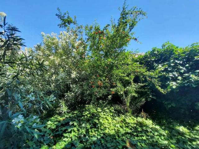 Terreno en venta en Costa del Sol Occidental, Andalucía