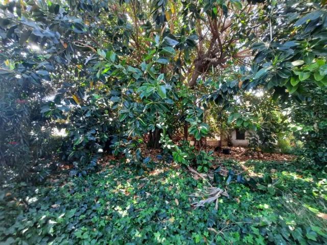 Terreno en venta en Costa del Sol Occidental, Andalucía