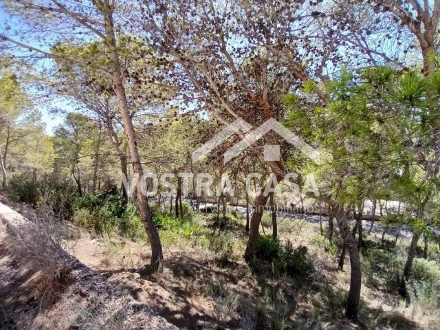 Terreno en venta en l'Horta Sud, Valencia